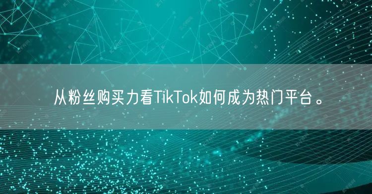 从粉丝购买力看TikTok如何成为热门平台。