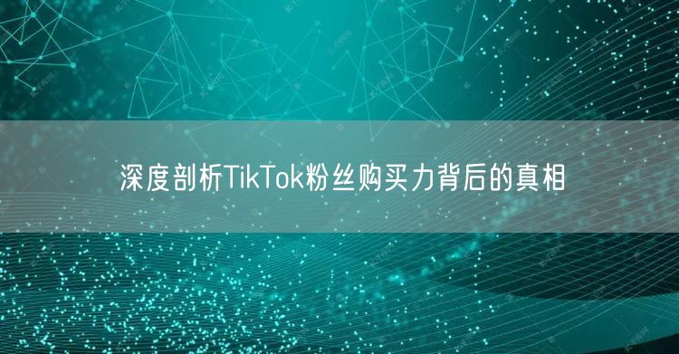 深度剖析TikTok粉丝购买力背后的真相