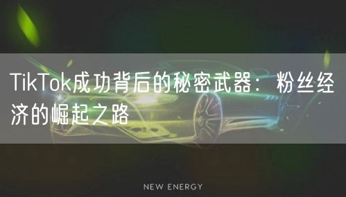 TikTok成功背后的秘密武器：粉丝经济的崛起之路
