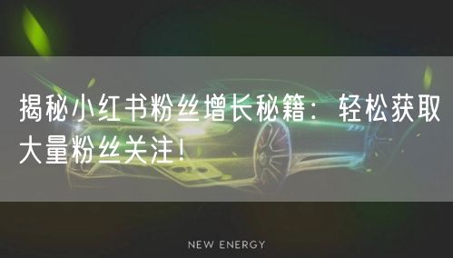 揭秘小红书粉丝增长秘籍：轻松获取大量粉丝关注！