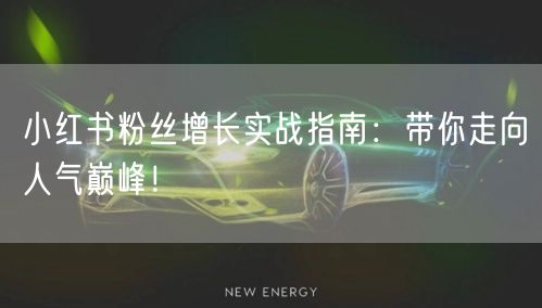 小红书粉丝增长实战指南：带你走向人气巅峰！