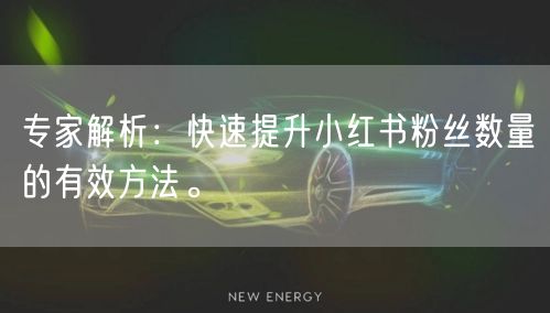 专家解析：快速提升小红书粉丝数量的有效方法。