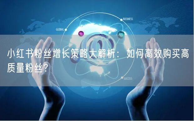 小红书粉丝增长策略大解析：如何高效购买高质量粉丝？