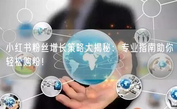 小红书粉丝增长策略大揭秘：专业指南助你轻松购粉！