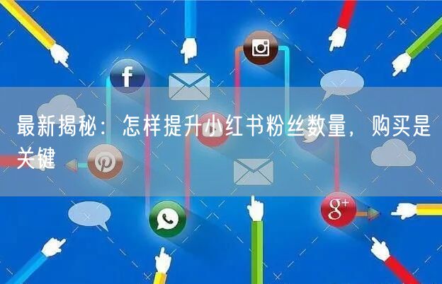 最新揭秘：怎样提升小红书粉丝数量，购买是关键