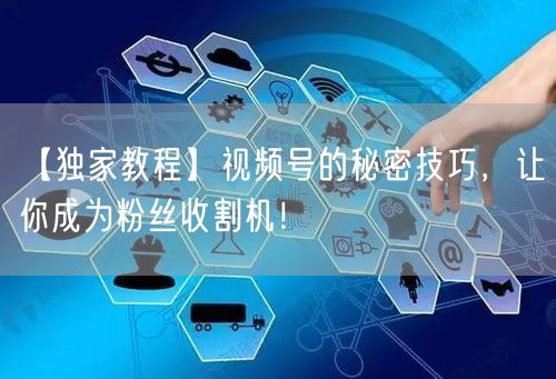 【独家教程】视频号的秘密技巧，让你成为粉丝收割机！
