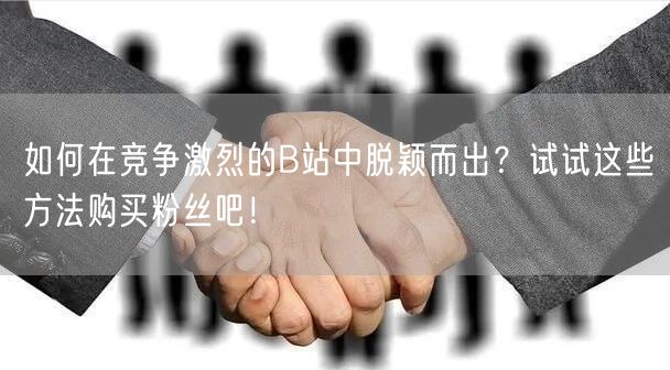 如何在竞争激烈的B站中脱颖而出？试试这些方法购买粉丝吧！