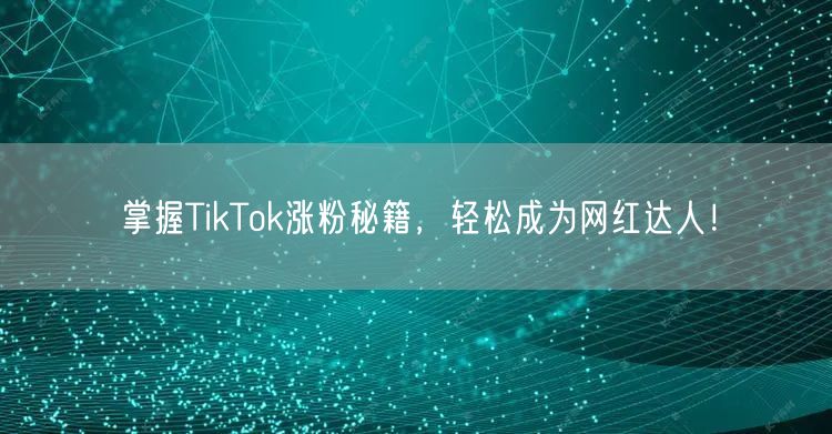 掌握TikTok涨粉秘籍，轻松成为网红达人！