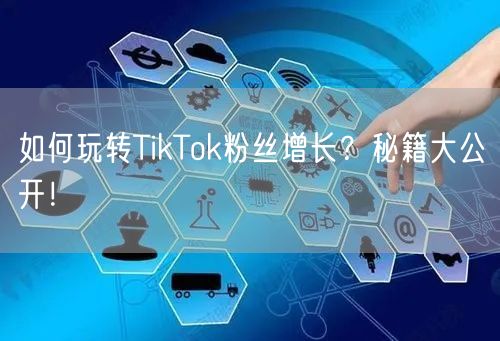 如何玩转TikTok粉丝增长？秘籍大公开！