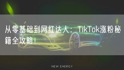 从零基础到网红达人：TikTok涨粉秘籍全攻略！