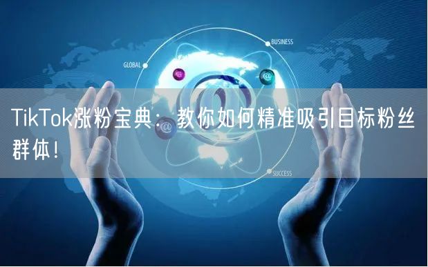 TikTok涨粉宝典：教你如何精准吸引目标粉丝群体！