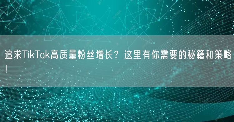追求TikTok高质量粉丝增长？这里有你需要的秘籍和策略！