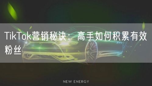 TikTok营销秘诀：高手如何积累有效粉丝
