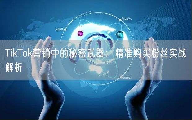 TikTok营销中的秘密武器：精准购买粉丝实战解析