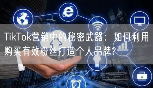TikTok营销中的秘密武器：如何利用购买有效粉丝打造个人品牌?