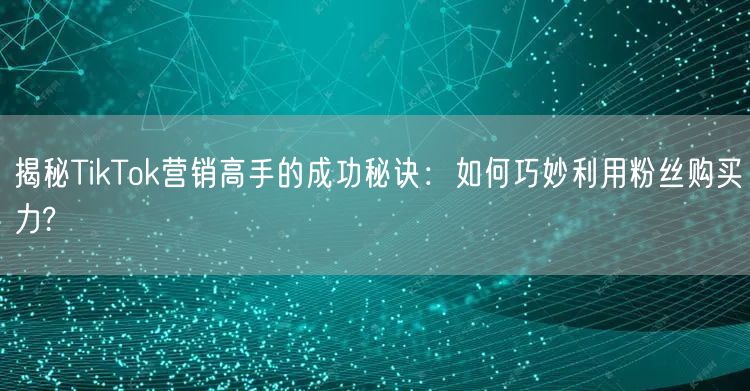 揭秘TikTok营销高手的成功秘诀：如何巧妙利用粉丝购买力?