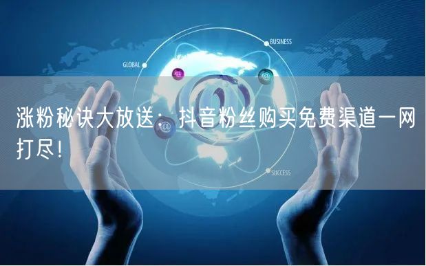 涨粉秘诀大放送：抖音粉丝购买免费渠道一网打尽！