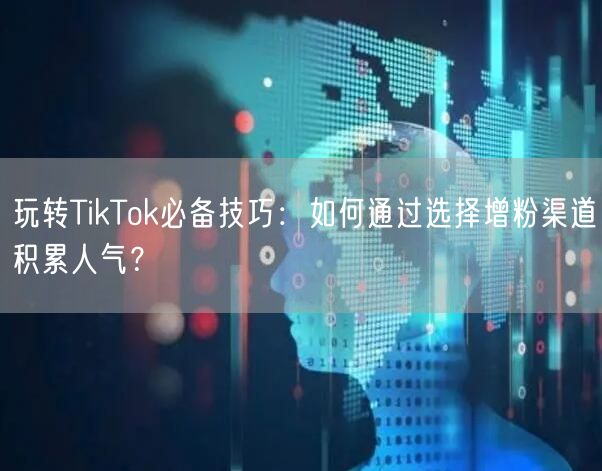 玩转TikTok必备技巧：如何通过选择增粉渠道积累人气？