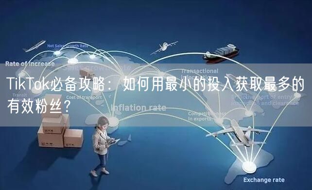 TikTok必备攻略：如何用最小的投入获取最多的有效粉丝？