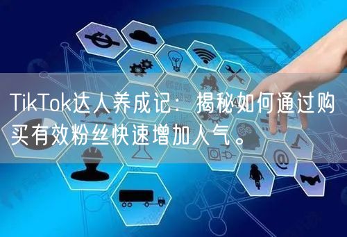 TikTok达人养成记：揭秘如何通过购买有效粉丝快速增加人气。