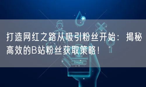 打造网红之路从吸引粉丝开始：揭秘高效的B站粉丝获取策略！