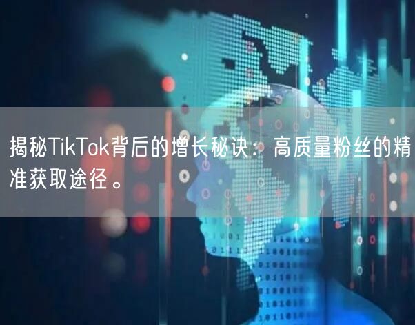 揭秘TikTok背后的增长秘诀：高质量粉丝的精准获取途径。