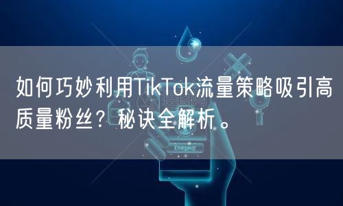 如何巧妙利用TikTok流量策略吸引高质量粉丝？秘诀全解析。