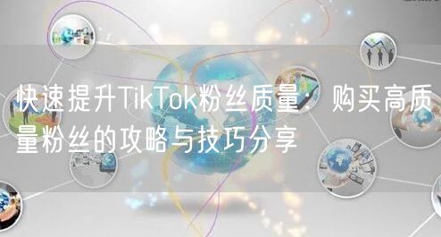 快速提升TikTok粉丝质量：购买高质量粉丝的攻略与技巧分享