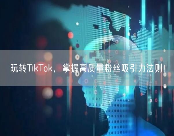 玩转TikTok，掌握高质量粉丝吸引力法则！
