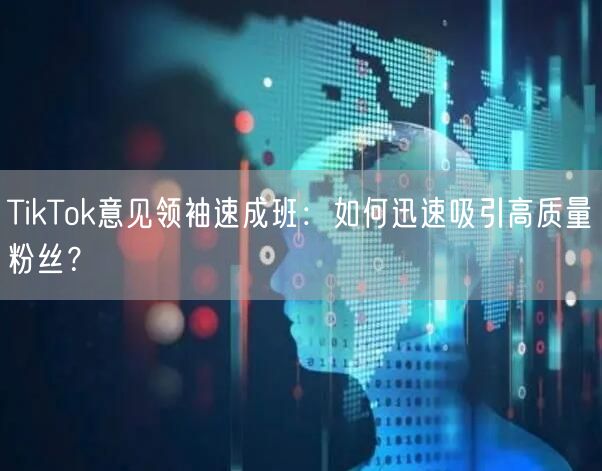 TikTok意见领袖速成班：如何迅速吸引高质量粉丝？