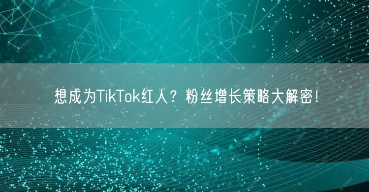 想成为TikTok红人？粉丝增长策略大解密！
