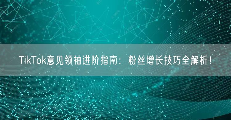 TikTok意见领袖进阶指南：粉丝增长技巧全解析！
