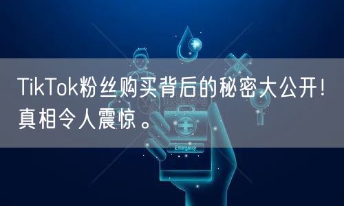 TikTok粉丝购买背后的秘密大公开！真相令人震惊。
