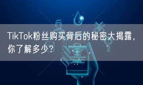 TikTok粉丝购买背后的秘密大揭露，你了解多少？