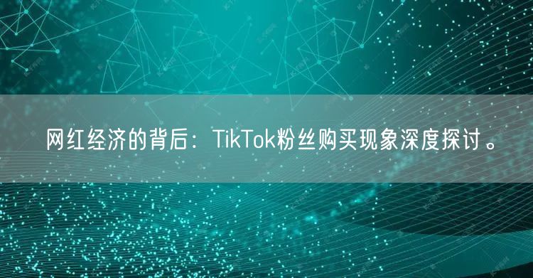 网红经济的背后：TikTok粉丝购买现象深度探讨。