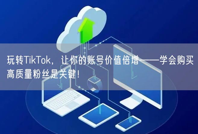 玩转TikTok，让你的账号价值倍增——学会购买高质量粉丝是关键！