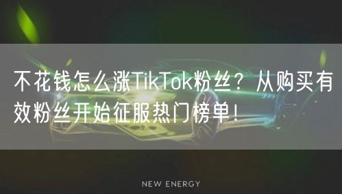 不花钱怎么涨TikTok粉丝？从购买有效粉丝开始征服热门榜单！
