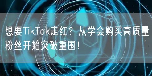 想要TikTok走红？从学会购买高质量粉丝开始突破重围！
