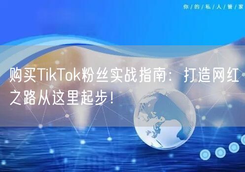 购买TikTok粉丝实战指南：打造网红之路从这里起步！