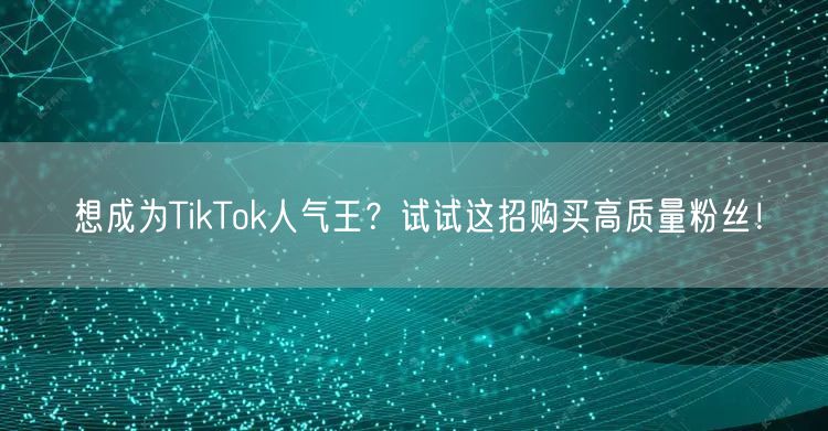 想成为TikTok人气王？试试这招购买高质量粉丝！