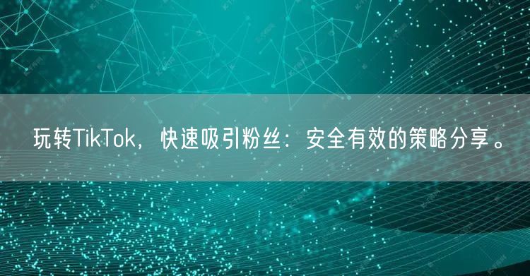 玩转TikTok，快速吸引粉丝：安全有效的策略分享。