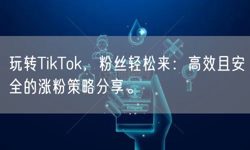 玩转TikTok，粉丝轻松来：高效且安全的涨粉策略分享。