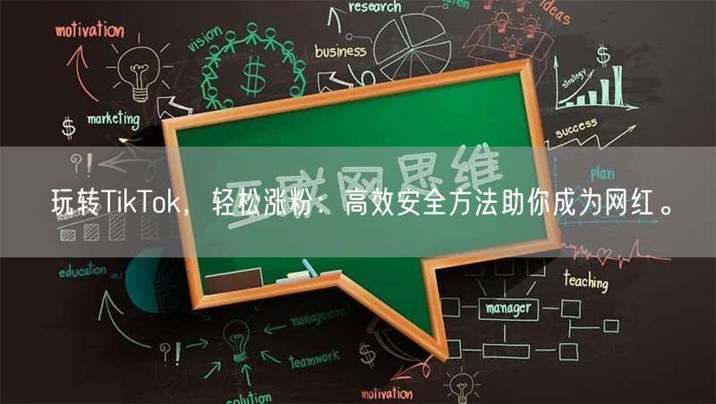 玩转TikTok，轻松涨粉：高效安全方法助你成为网红。
