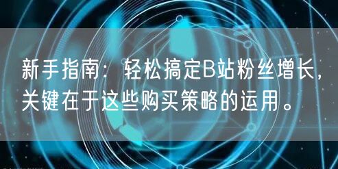 新手指南：轻松搞定B站粉丝增长，关键在于这些购买策略的运用。