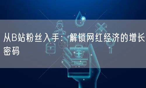 从B站粉丝入手：解锁网红经济的增长密码