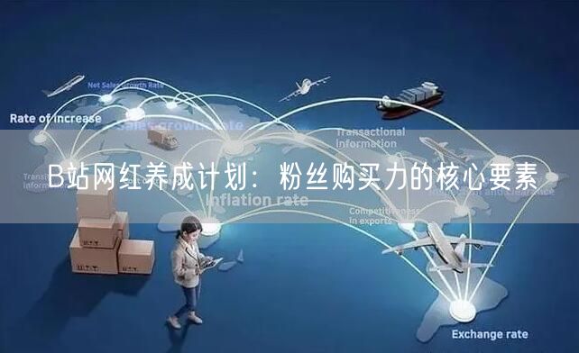 B站网红养成计划：粉丝购买力的核心要素