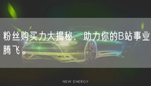 粉丝购买力大揭秘，助力你的B站事业腾飞。