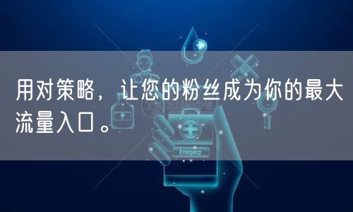 用对策略，让您的粉丝成为你的最大流量入口。