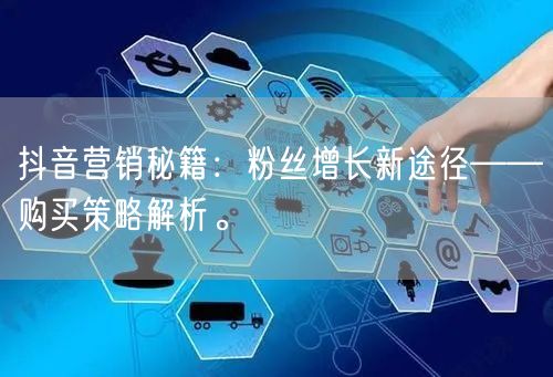 抖音营销秘籍：粉丝增长新途径——购买策略解析。