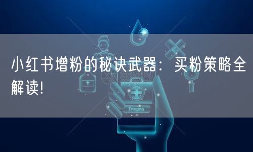 小红书增粉的秘诀武器：买粉策略全解读!